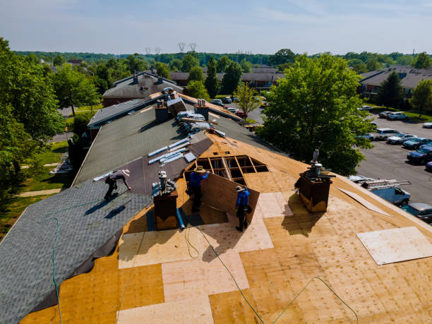 Trusted Roof Replacement service in Dripping Springs, TX - Brentwood Metal Roofing